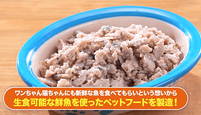 ワンちゃん猫ちゃんにも新鮮な魚を食べてもらいたいという想いから生食可能な鮮魚を使ったペットフードを製造！