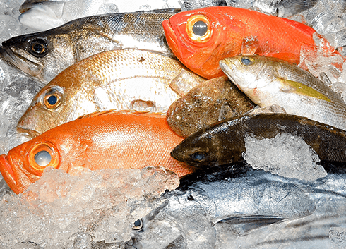 鮮魚を産地直送で届けてほしい