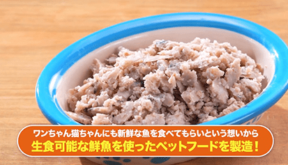 犬猫用ペットフード